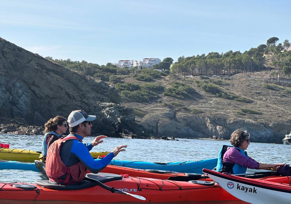 cursos de kayak de mar